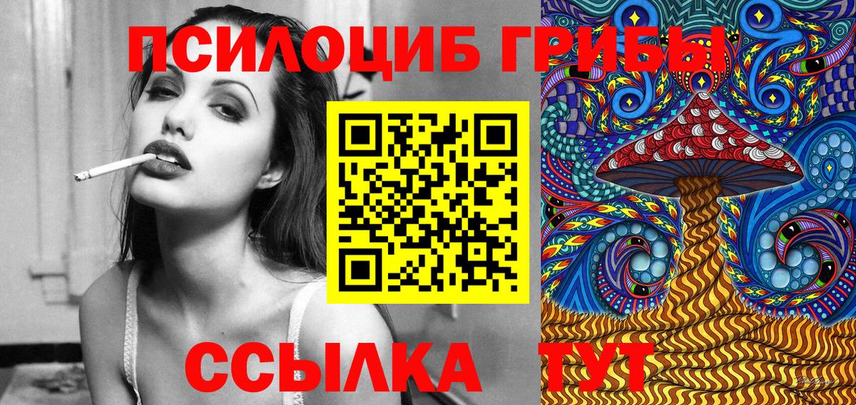 Псилоцибиновые грибы Psilocybine cubensis Каспийск
