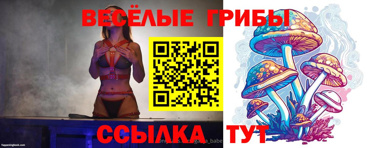 Каспийск  Псилоцибиновые грибы Cubensis  Вход с VPN  Псилоцибиновые грибы Cubensis 